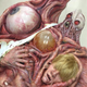 Image for article titled When Resident Evil Cosplay Gets Realistic and Disgusting
